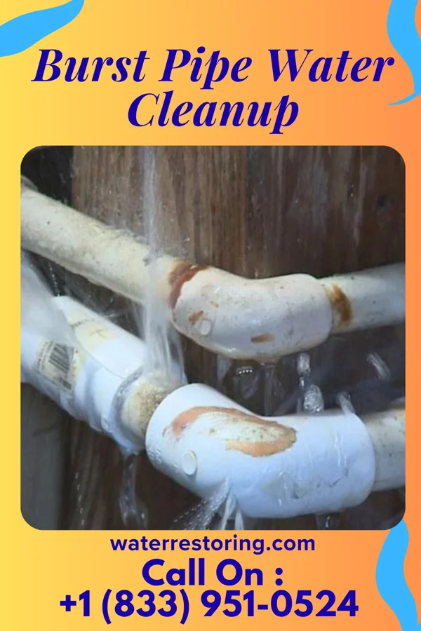 Burst Pipe Water Cleanup in Salina, KS
